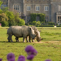 Things to do in the Cotswolds, Artist Residence Oxfordshire, stay in the Cotswolds