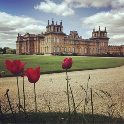 Artist Residence Oxfordshire, Blenheim Palace, The Cotswolds